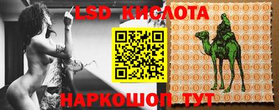 амф Донской