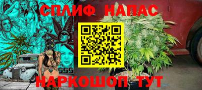 молекула духа Дубна